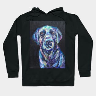 Colourful Black Labrador Hoodie